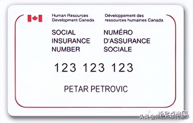 你知道加拿大SIN Number吗？为什么新移民登陆就要申请？