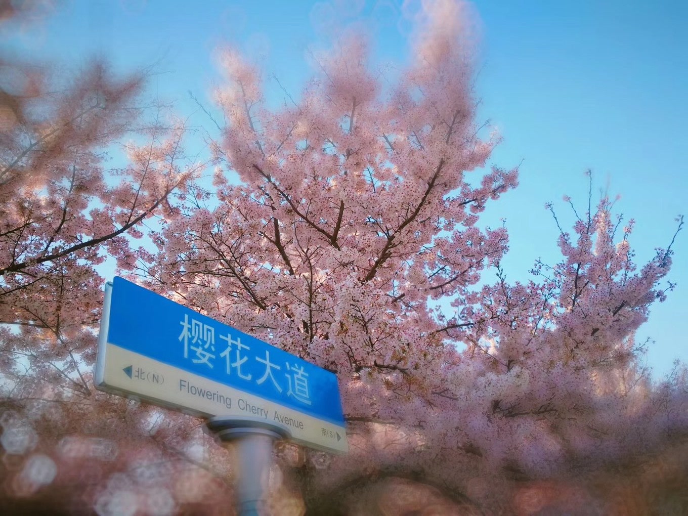 青岛人气景点盘点｜10个推荐景点及周边玩法攻略