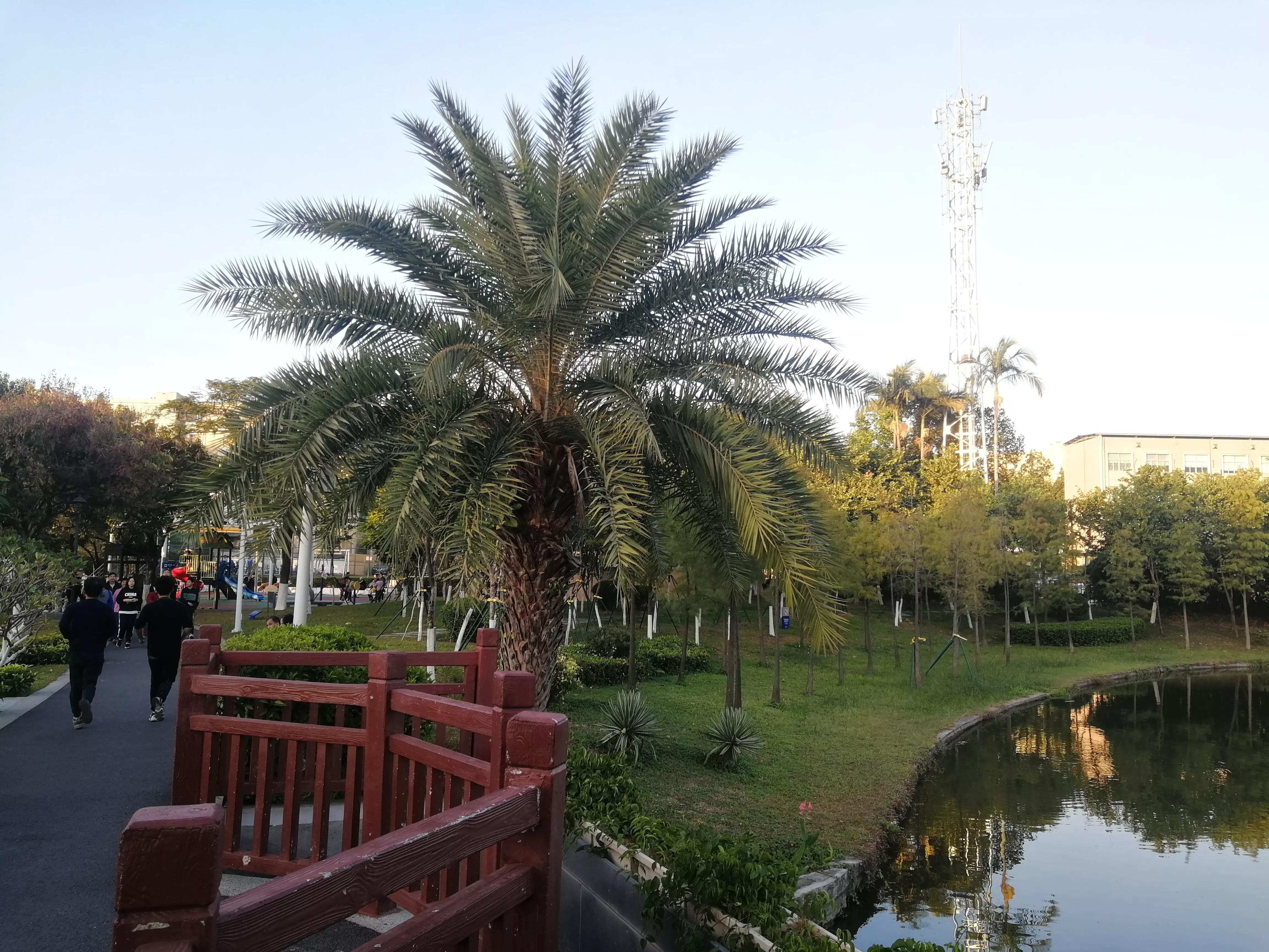 地铁4号线大学城周边游玩攻略，领悟独一无二的长洲岛景象（D篇）