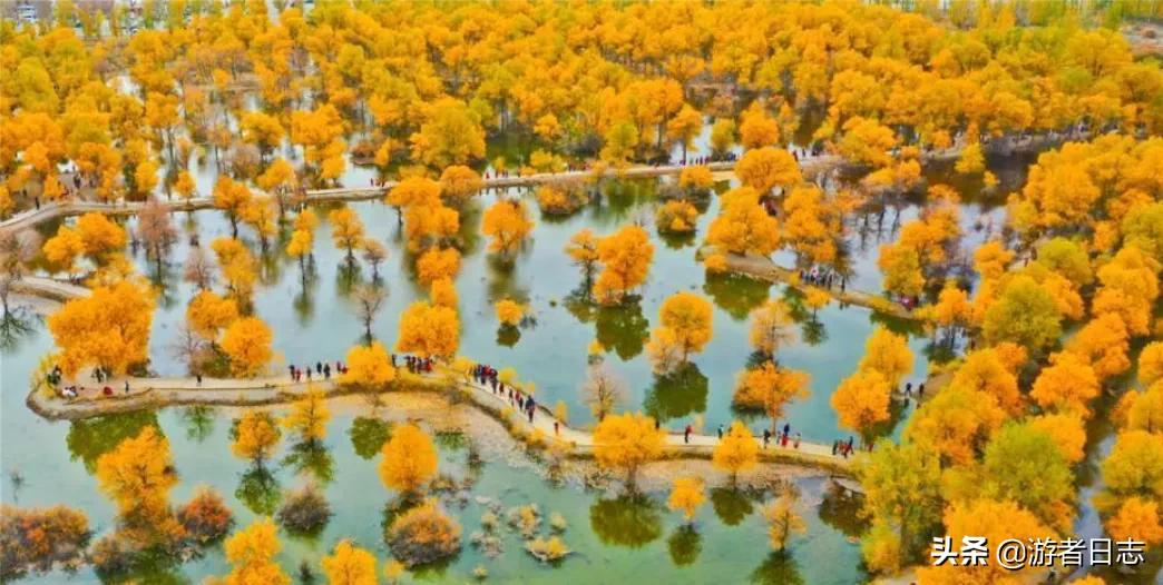 甘肃六地文旅宣传口号获殊荣，为上榜的城市点赞