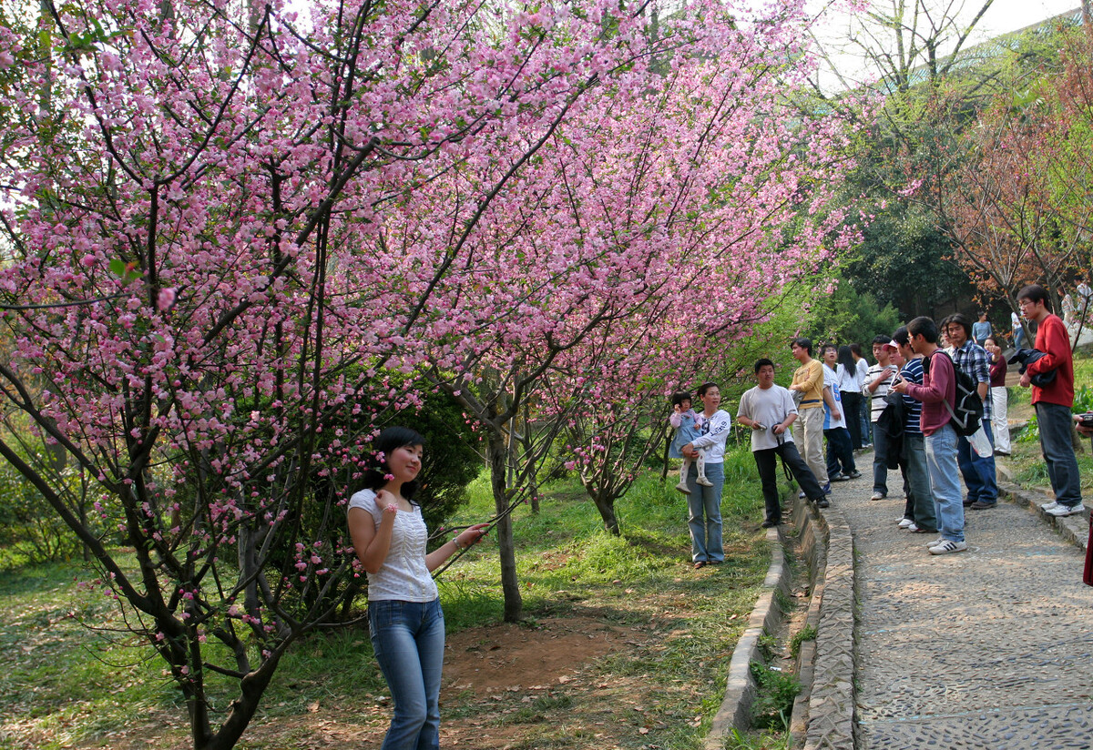 注意！武汉大学2022年艺术类招生计划哪些变化，受益的是谁？