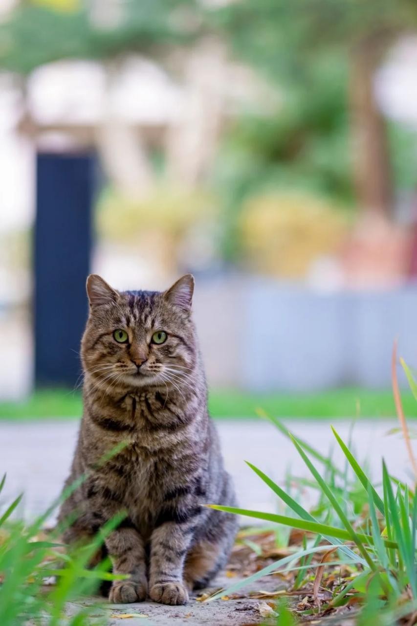多图预警！兰大最美“校花”心动来袭，颜值超高，简直太惊艳！