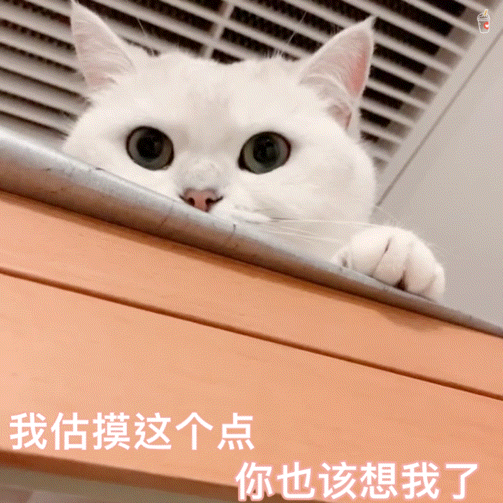 铁蛋,俺想你了我要把你抱在怀里我投降了我很快乐我不敢说你在气我就