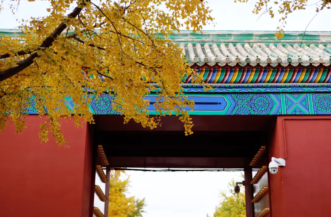 北京及其周边怎么玩,来这里抄作业