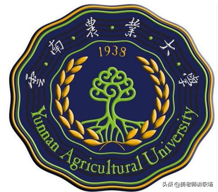 万字点评：全国31省市各排名前五共155所高校