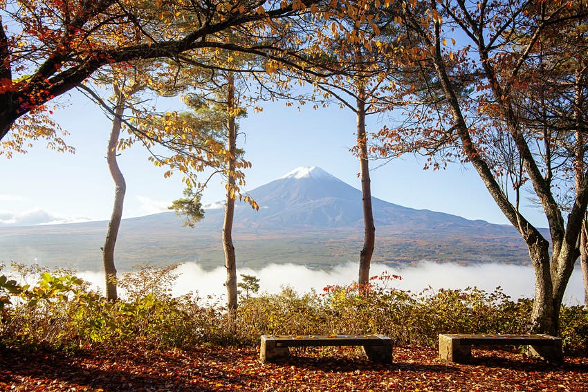 日本10个最重要的景点