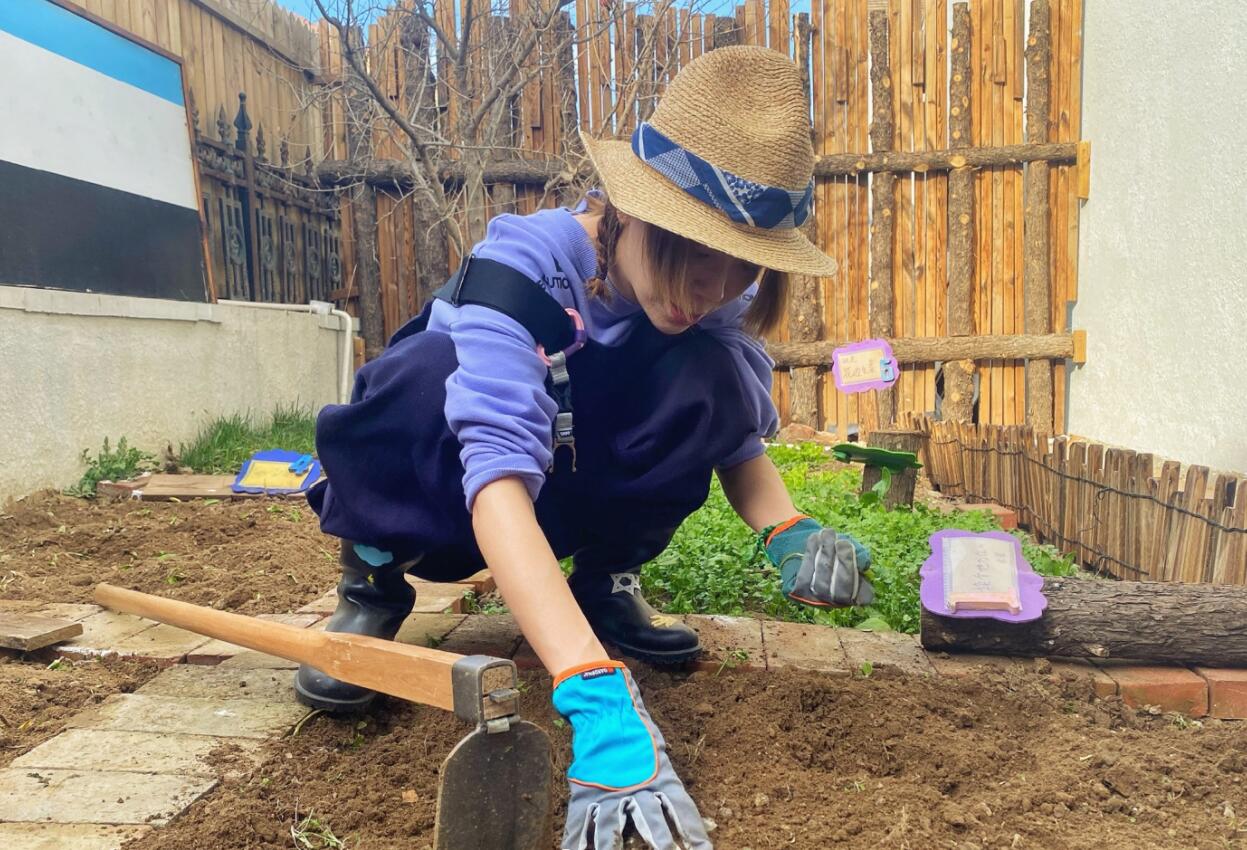 是女明星也是“菜农”！柳岩吃过刘亦菲种的茄子，张馨予家有农场