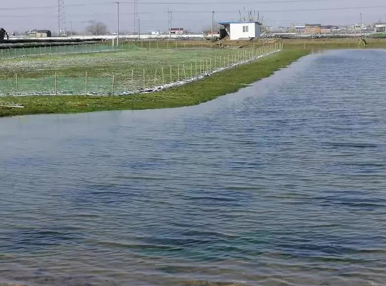 当涂这些被“雪藏”的美景，你都发现了吗？