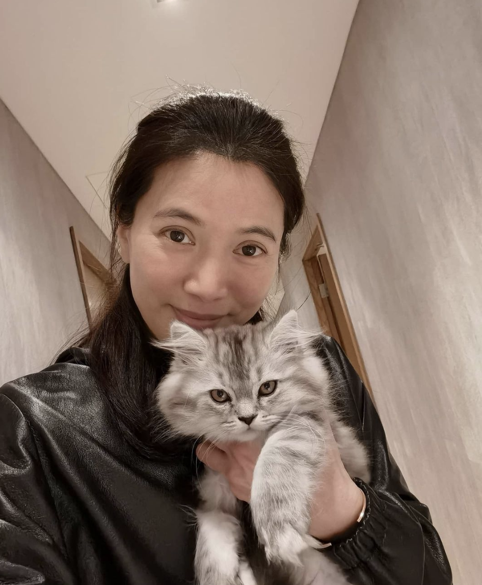 张智霖儿子晒撸猫日常，魔童眼神温柔颜值高，费曼留言梦幻联动