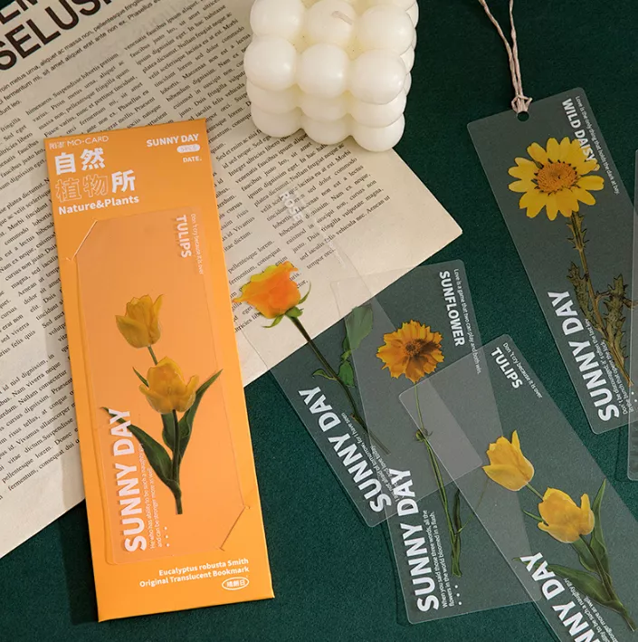 比较有文艺气质的礼物（文艺范的礼物）