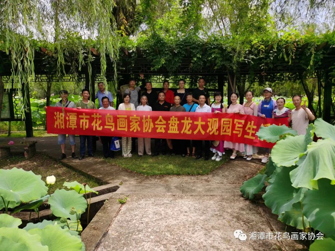 湘潭市花鸟画家协会盘龙大观园荷花写生活动圆满成功