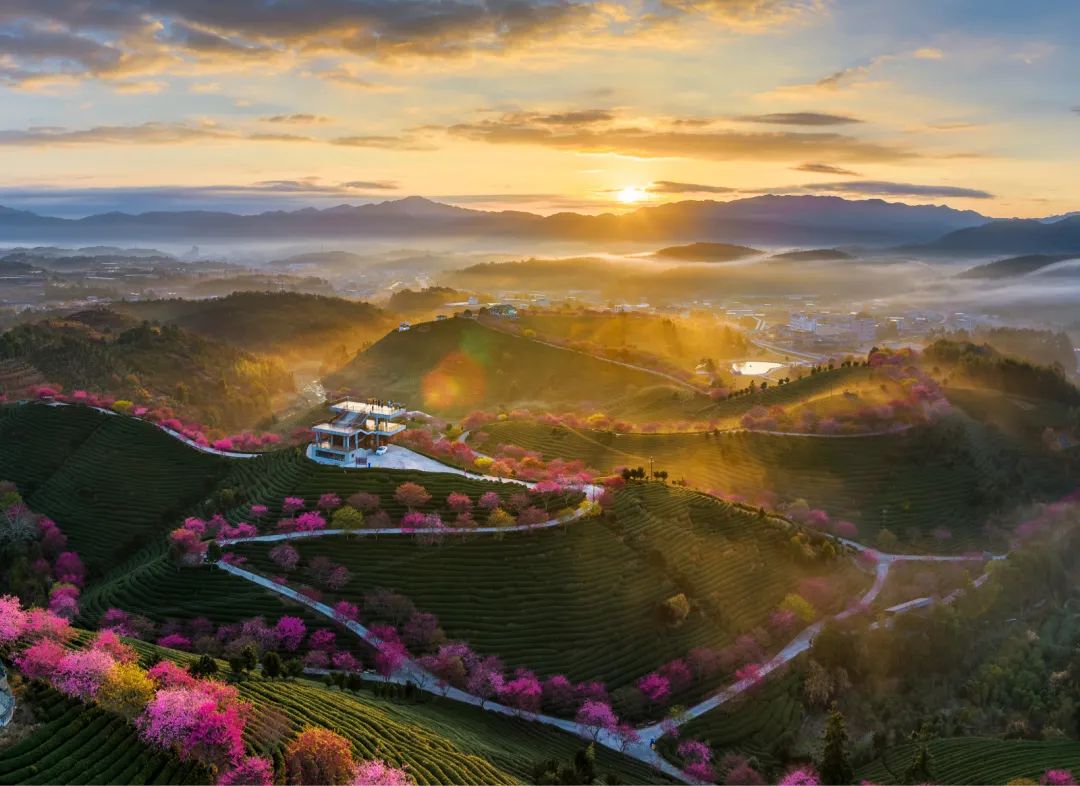 陌上花开春正美，跟着赏花地图“趣”打卡！