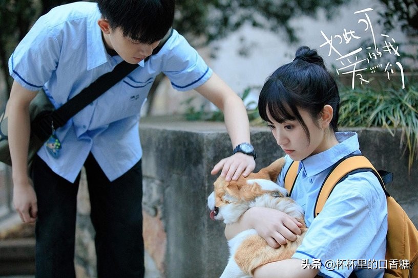 网推一集上瘾甜宠剧！《韫色过浓》首集就亲，《小确幸》23场吻戏