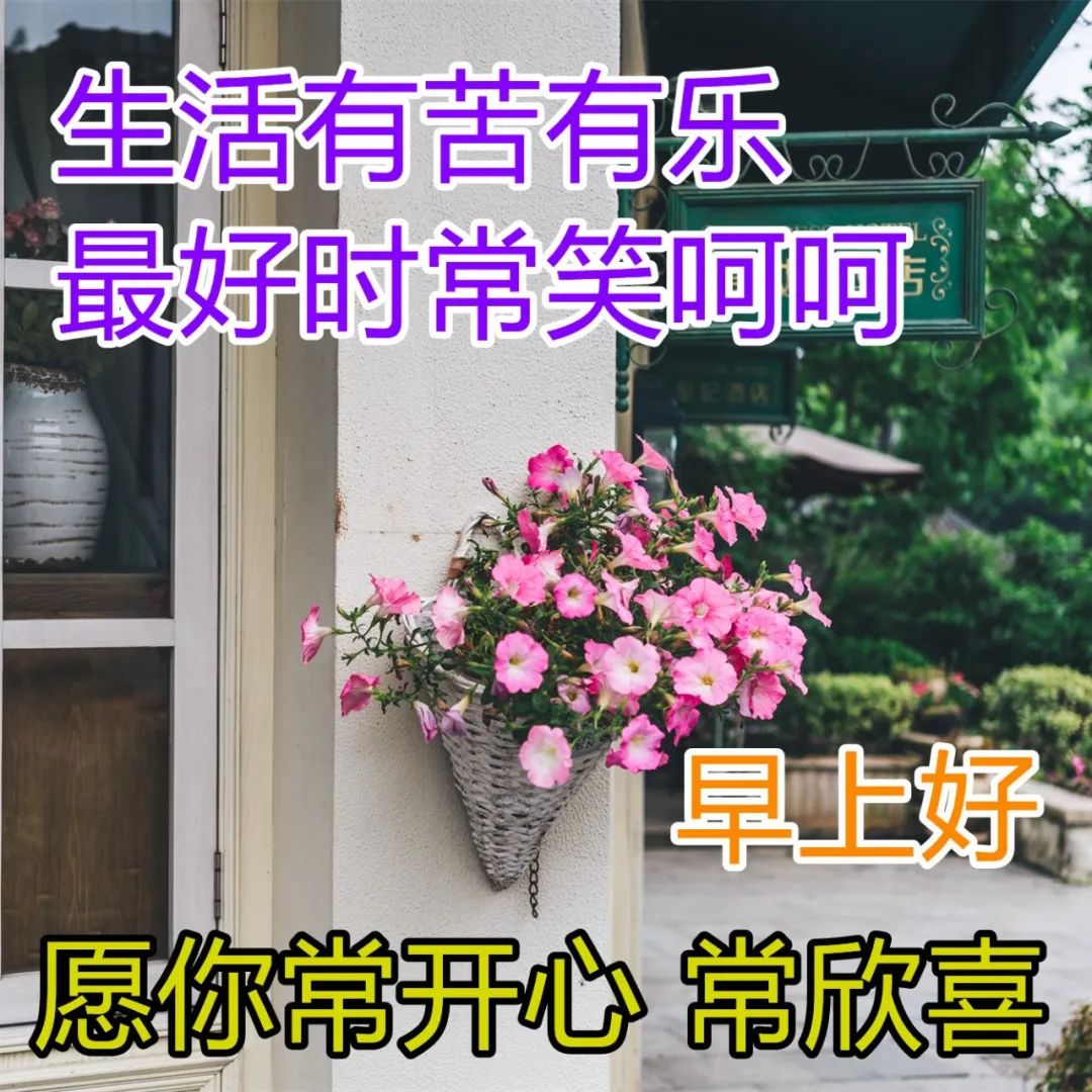 每日清晨聊天问候祝福图片 下雨天早上好祝福美图