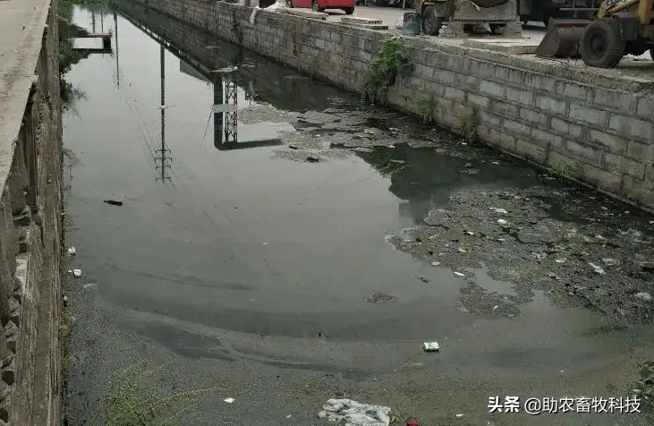 农村黑臭水体的简单快速治理技术，微生物技术显神威且简单成本低