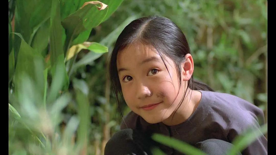 20部夏天宅家必看的治愈系电影