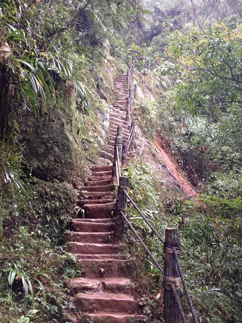 爱情天梯故事有感:其实爱情世界,三个"阶梯",即足矣