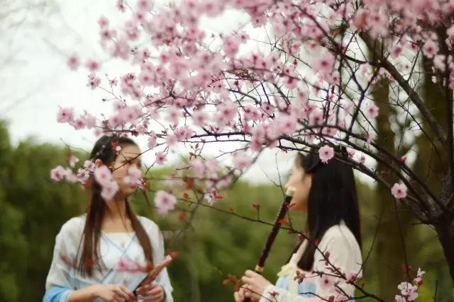 高清大图惊艳曝光！湖北高校“最美校花”比拼，个个颜值“天花板”！