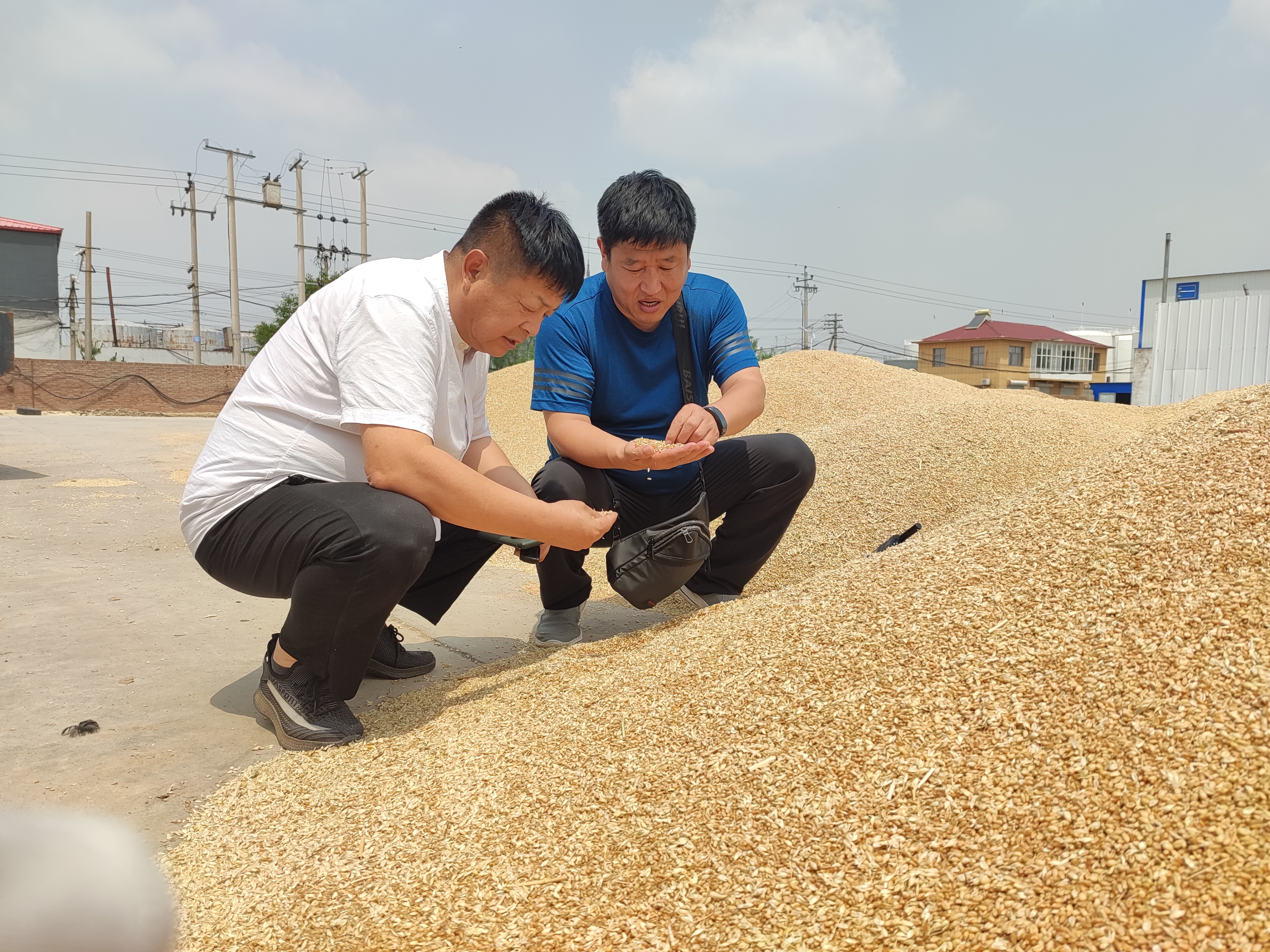 東光海豐農(nóng)業(yè)：“三夏”生產(chǎn)實現(xiàn)全程機械化“一條龍”作業(yè)