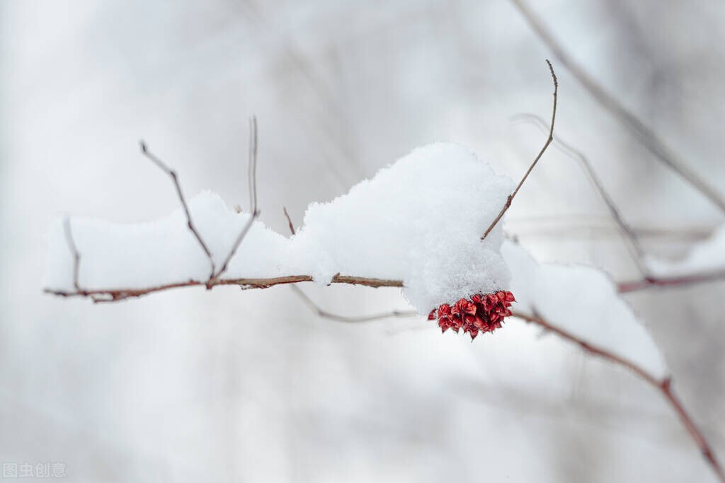 春雪飞舞兆祥瑞 诗词歌赋祝丰年