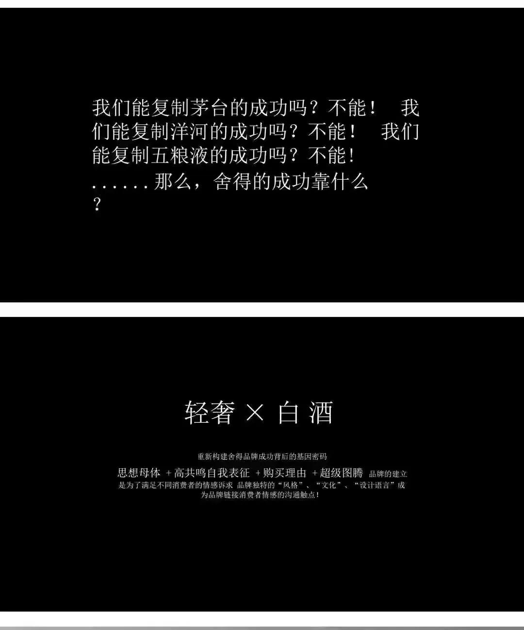 价值1000万的舍得酒业品牌战略规划策划方案（全案154页）