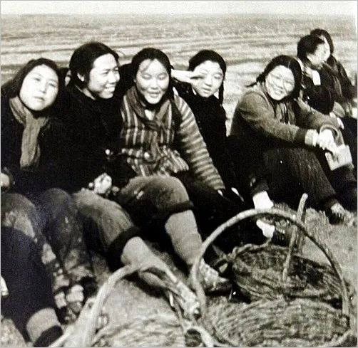 从黑龙江兵团战士到学院院长