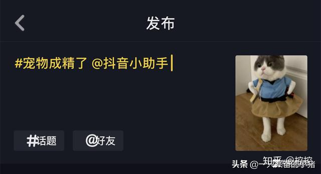 抖音升级最新版，轻松拍出上热门视频！