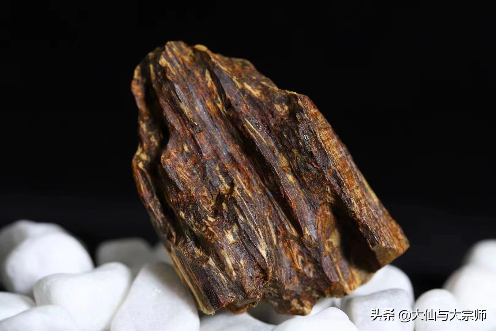 奇楠是沉香吗?奇楠有几种?都有什么特征?