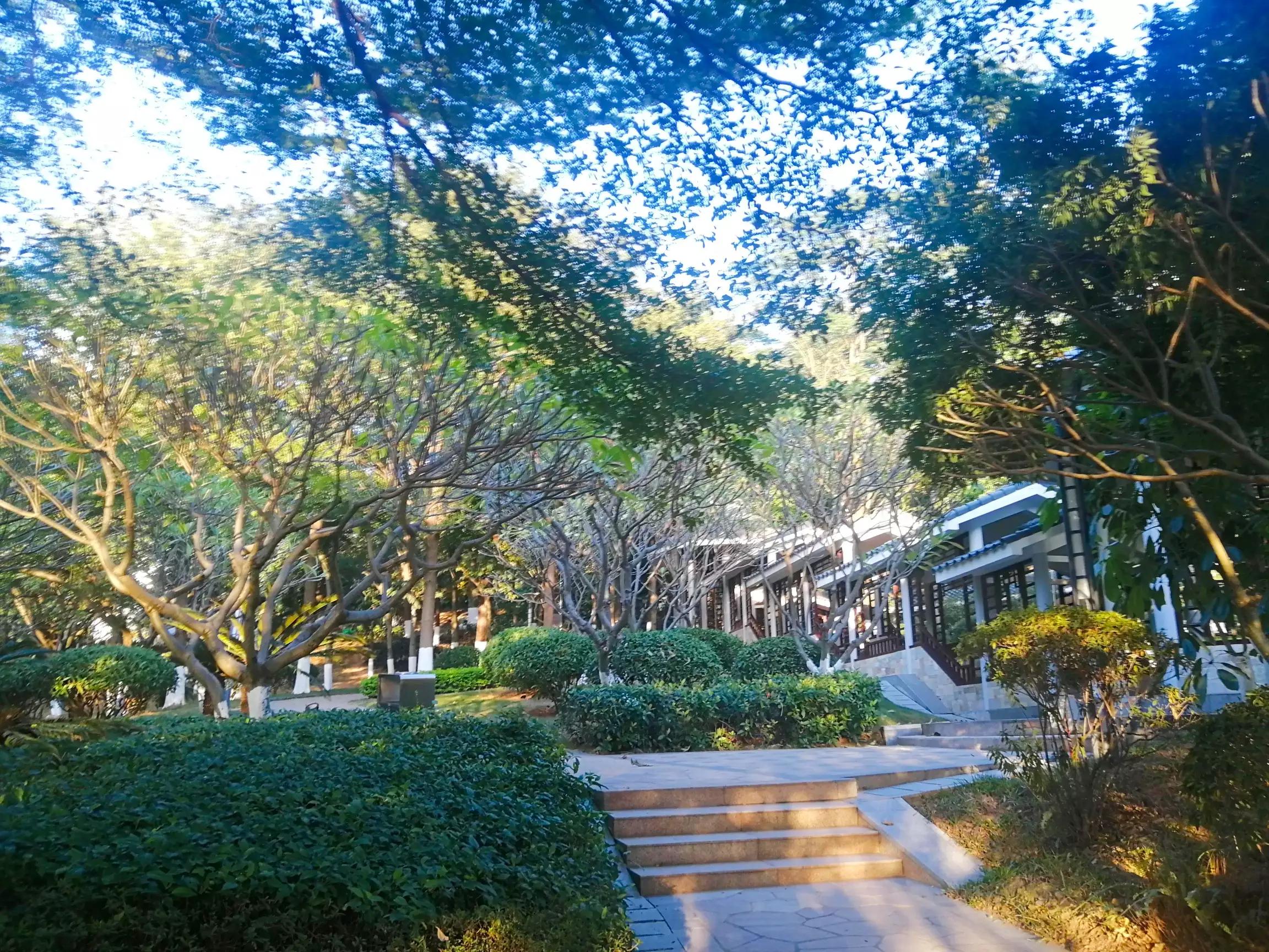 地铁4号线大学城游玩攻略，领略那不一样的广州大学城风光（C篇）