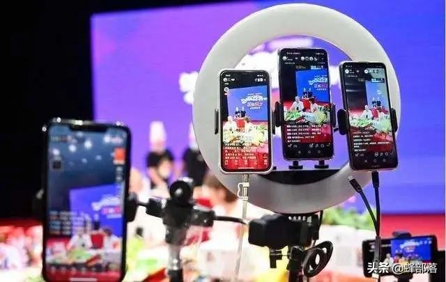 人參果樹苗批發,人參果樹苗批發價格