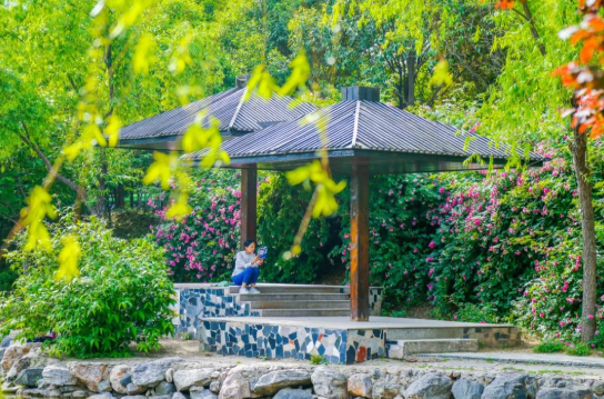 地铁双线直达，毗邻5A景区！陕西这所高颜值大学，“校花”云集