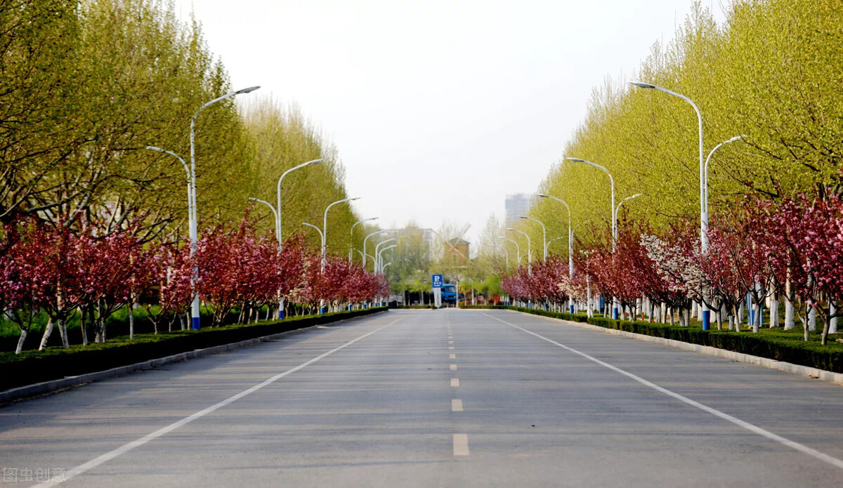 这5所山东的高校，每年招收专升本人数最多，适合成绩一般的学生