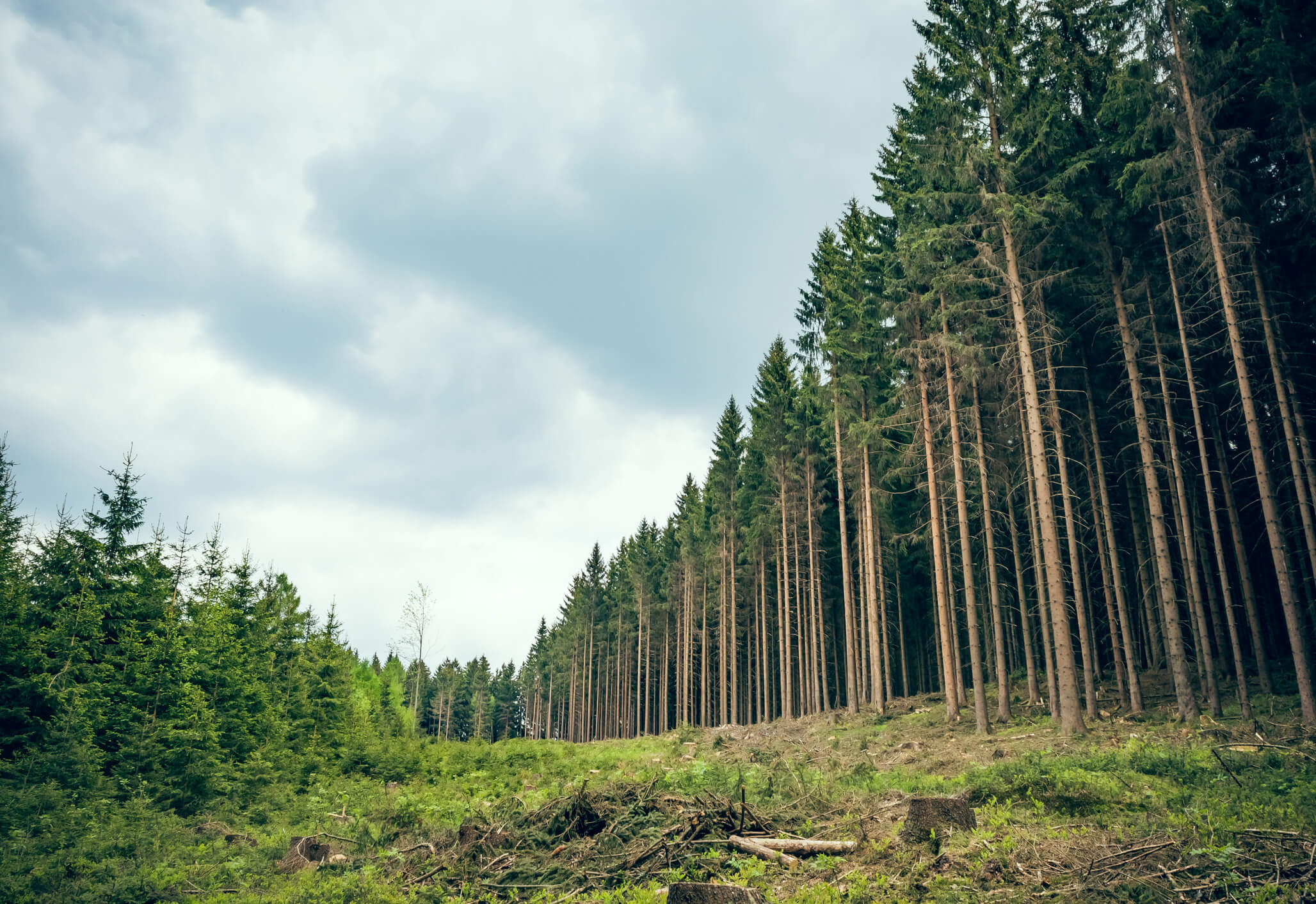林学类专业：尽管属于农学专业，但却包含很多人感兴趣的园林专业