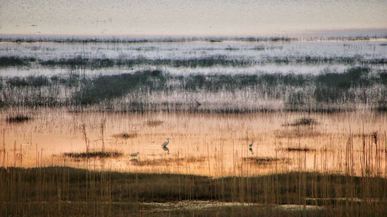 当涂这些被“雪藏”的美景，你都发现了吗？