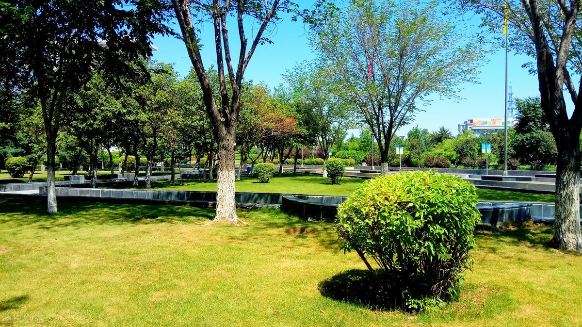 石河子大学2022年硕士研究生招生调剂公告