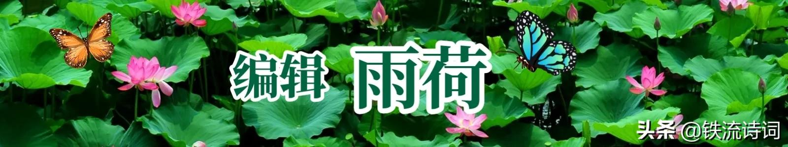 尚进｜鹧鸪天·早安