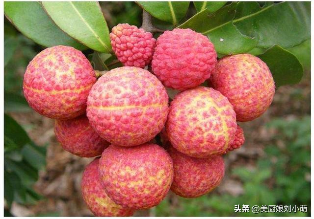 水果营养价值排行（维生素C多的10种水果营养又健康）