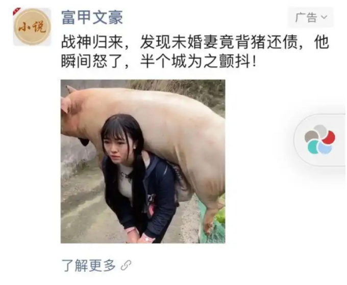 盘点奇葩小说推广软文