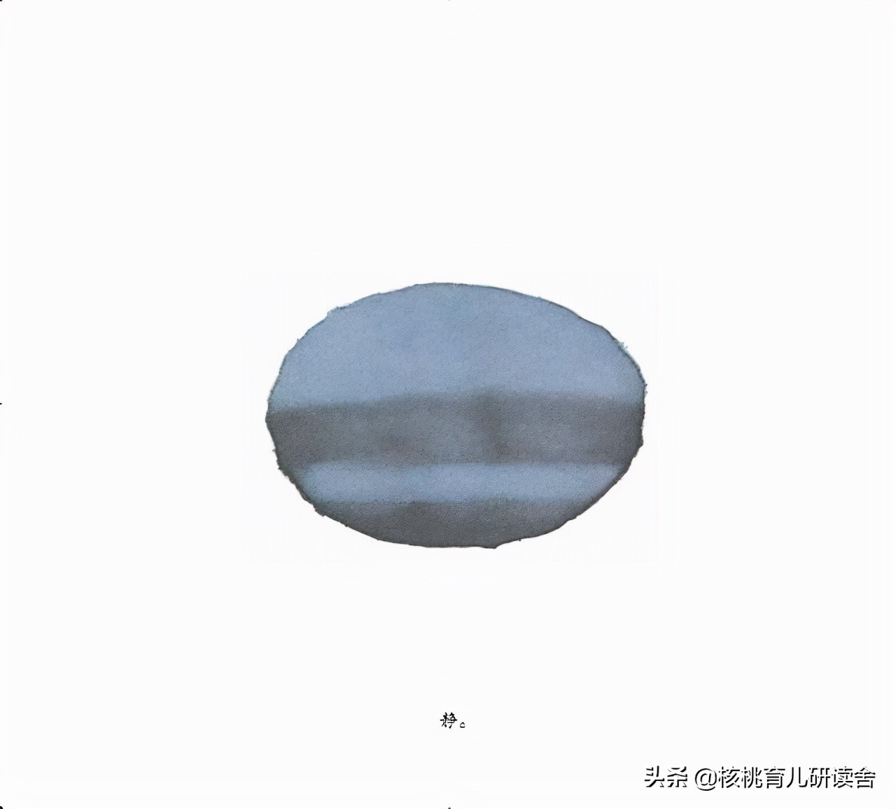 绘本可以这样读——系列六：看童书版式设计，会有意想不到的收获