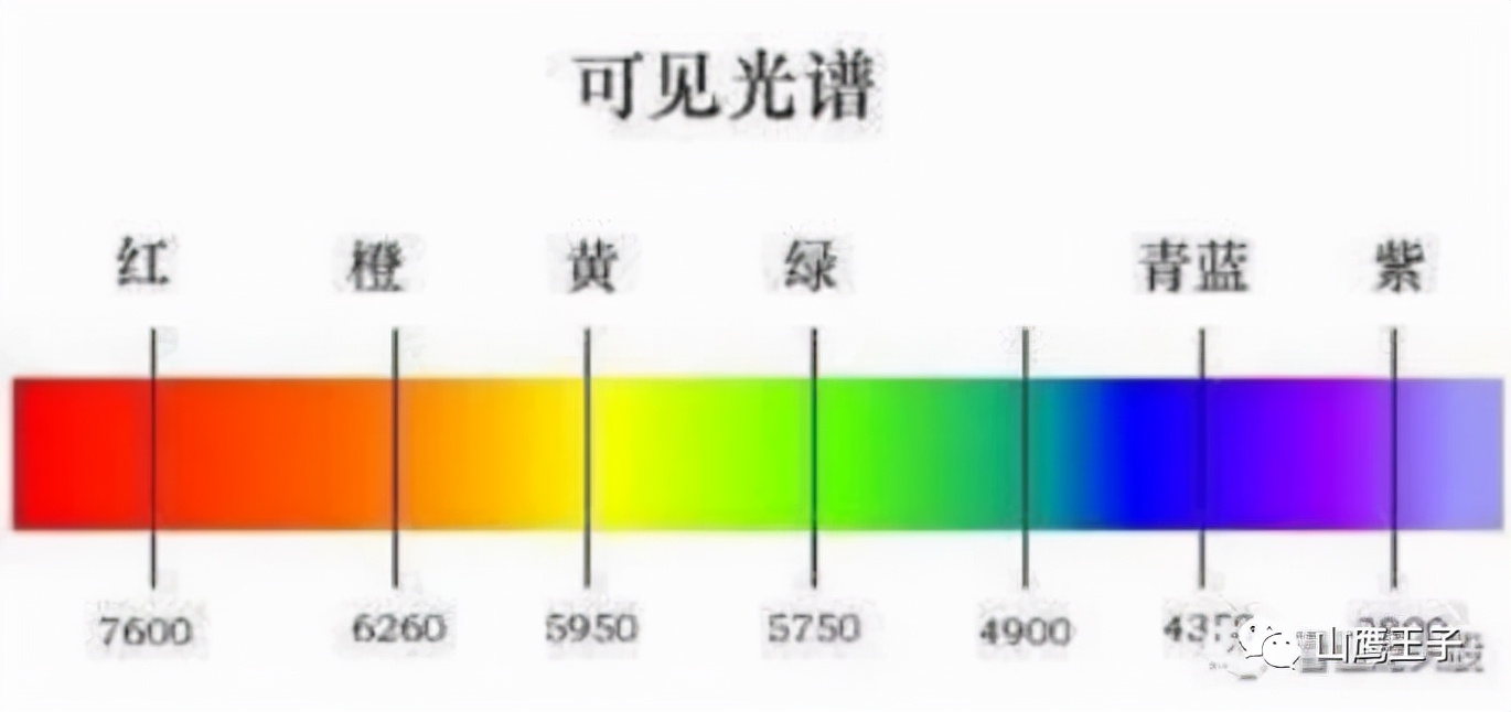 情绪周期详解