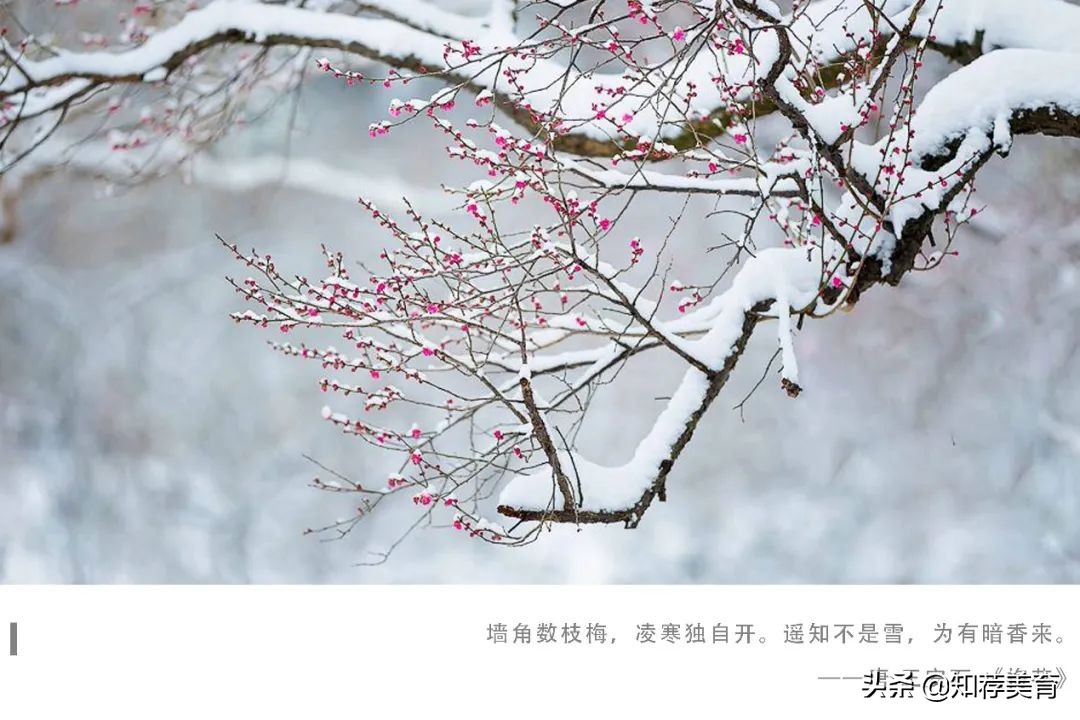 君子应该具有的精神品质