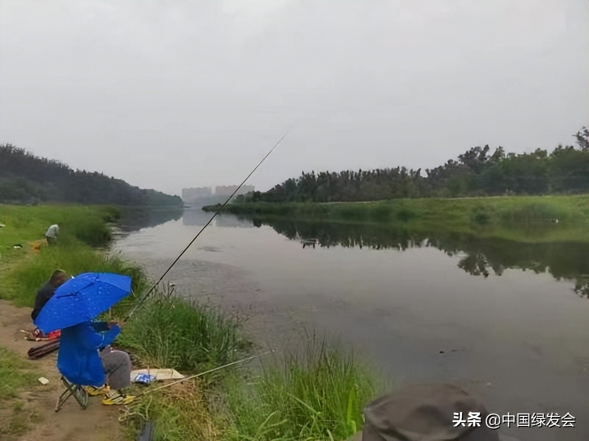 污水偷排水库？呼吁有关部门重视水质监测｜北京沙河湿地公园建设