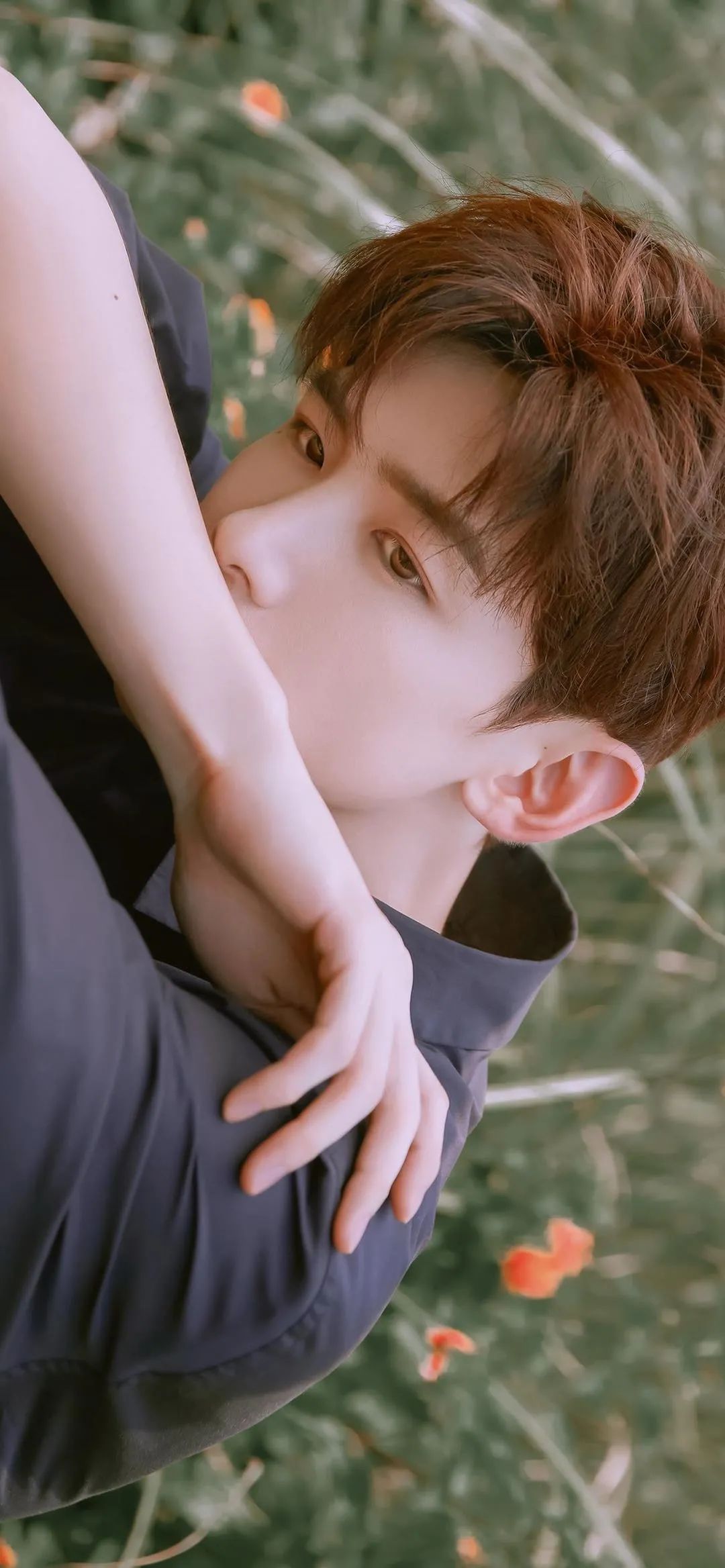 精选男明星壁纸合集｜秦霄贤｜白敬亭｜胡歌｜车银优｜陈立农