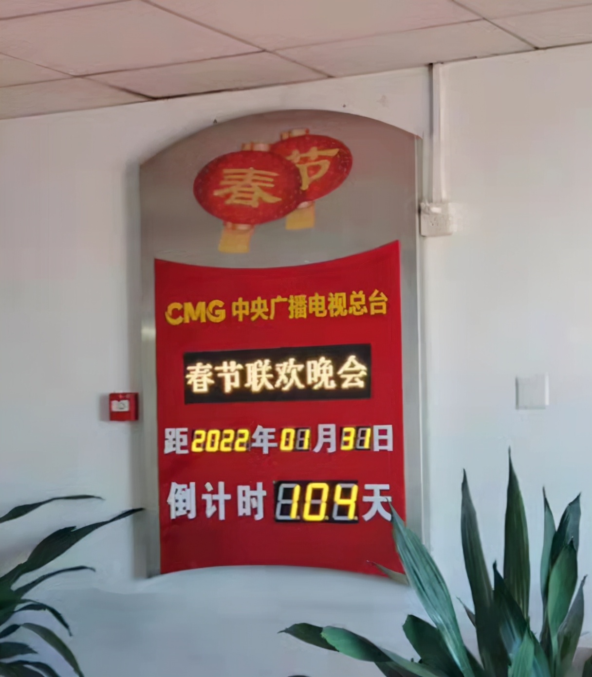 曝虎年春晚总导演确定！已率团队策划俩月，张小斐是否登台引期待