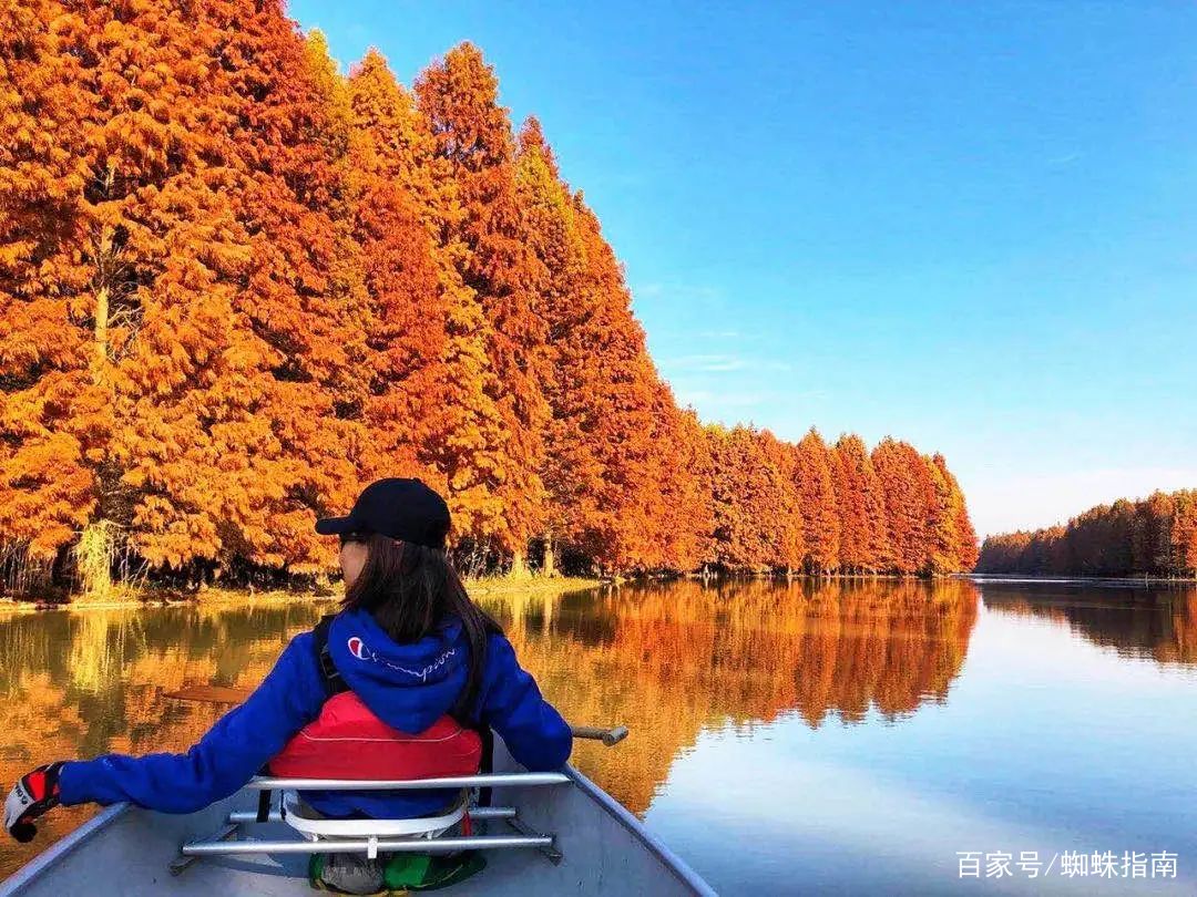 上海金秋去哪玩？必打卡这6个宝藏旅行地，遇见魔都最美的秋色！插图39