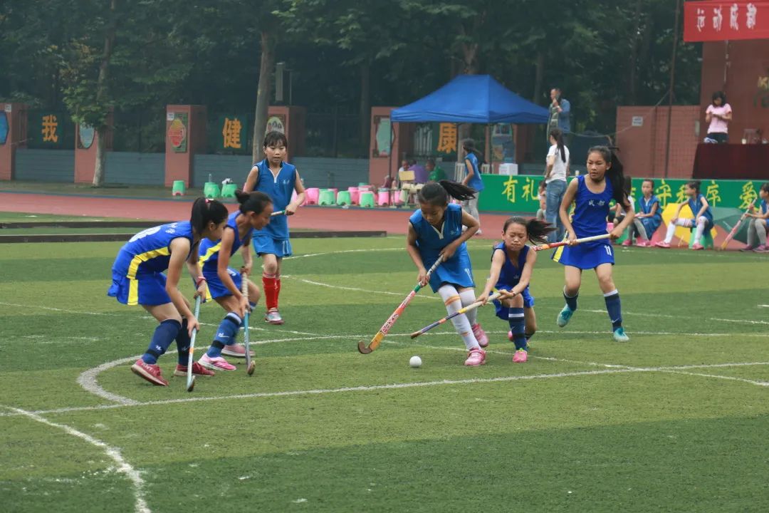 期待，锦小与你的美好相遇｜四川天府新区锦江小学欢迎各位新同学