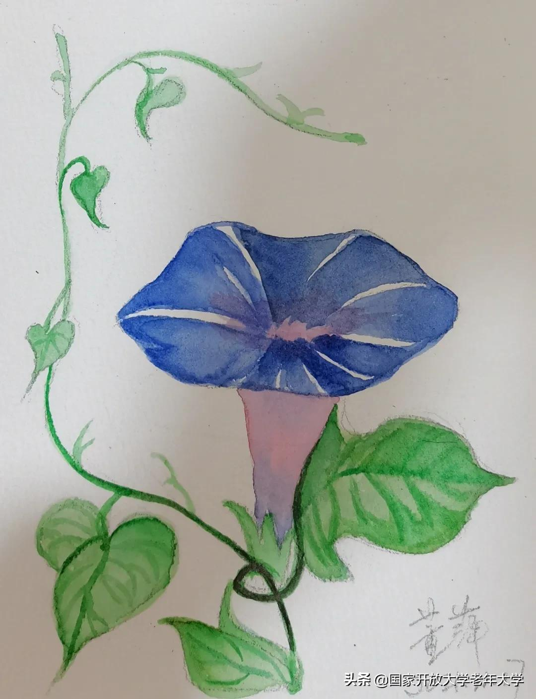 在校园·良作 | 水彩让我们的青春重新绽放——水彩画初级班学员作品