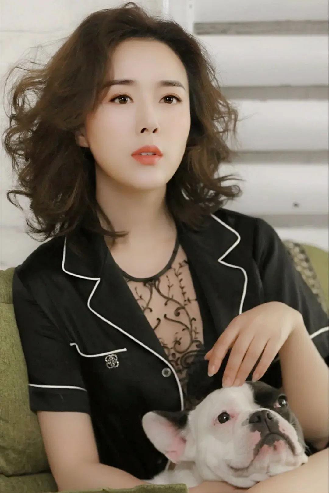 颜丹晨：丹晨与狗狗