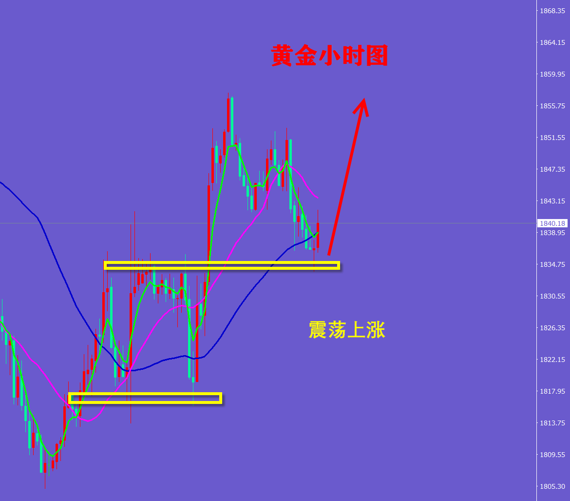 宁金虎：黄金站稳35下周继续低多看涨，下周行情走势分析策略布局