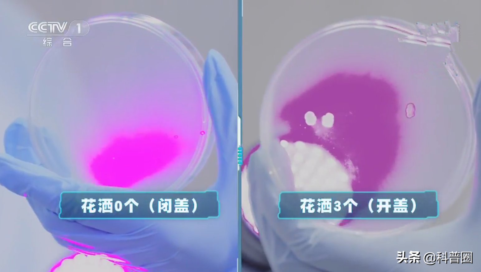 沖馬桶，蓋？還是不蓋？別糾結了，央視的一個實驗告訴你真相
